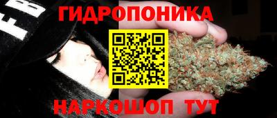 mix Будённовск