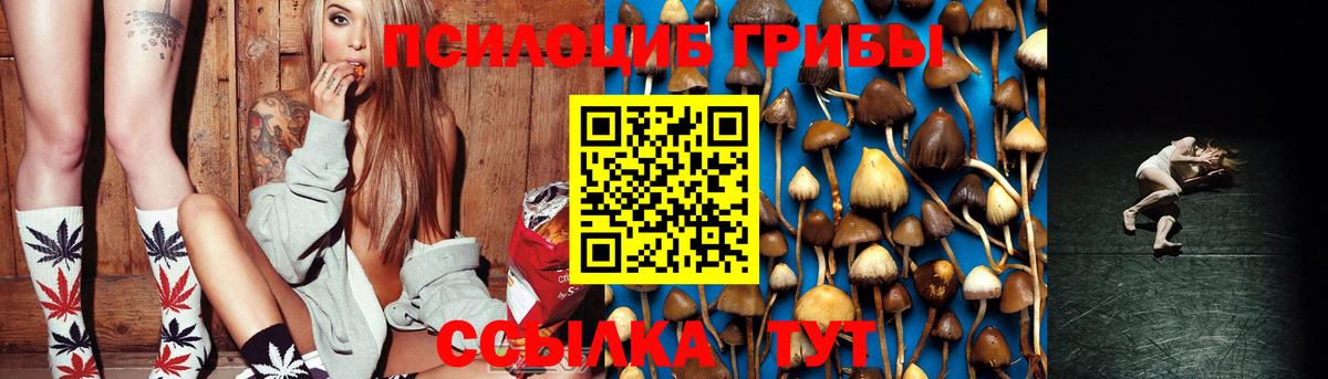 Псилоцибиновые грибы мицелий Чебоксары